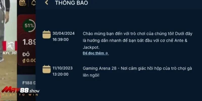 Danh mục chơi đá gà có lượt tìm kiếm rất lớn