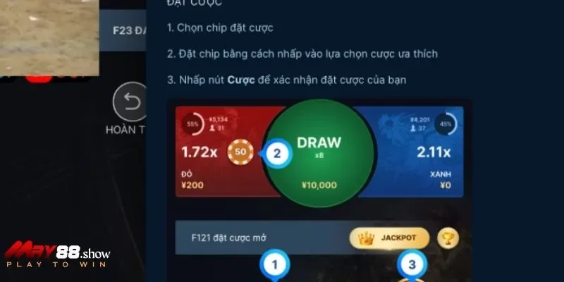 Hướng dẫn đặt cược chiến kê chi tiết