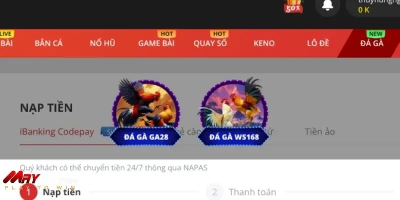 Lựa chọn danh mục đá gà yêu thích tại May88