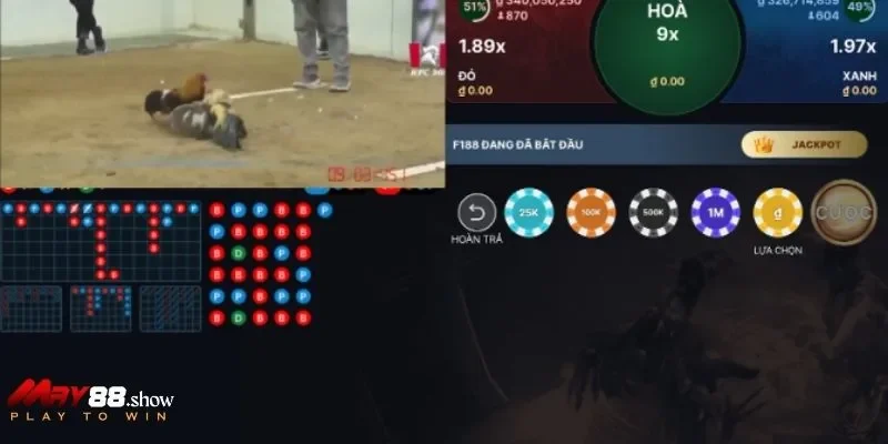May88 dành tặng nhiều khuyến mãi chơi độc quyền tại sảnh đá gà