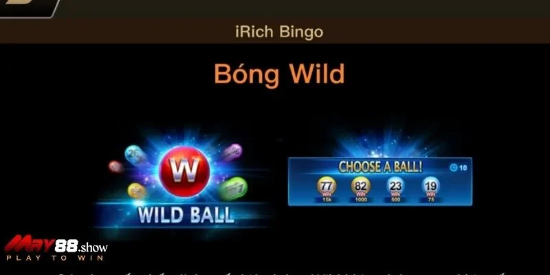 Nhận số trúng thưởng hấp dẫn