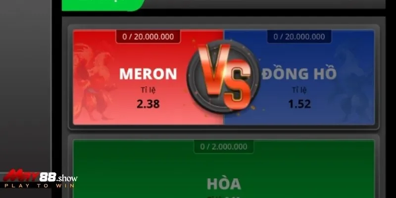 Phiên cược chiến kê diễn ra liên tục