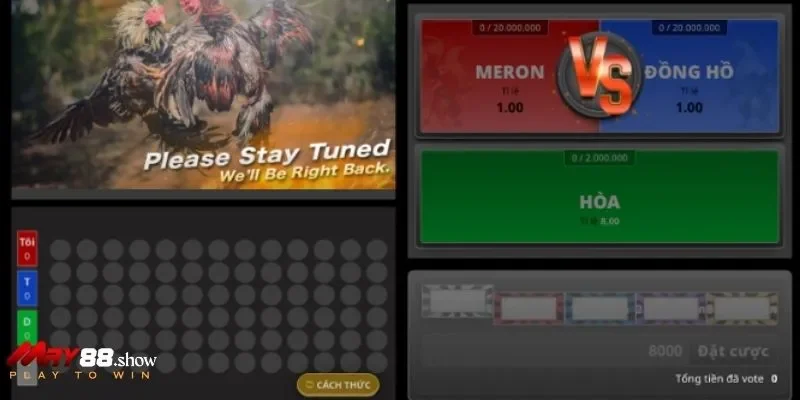 Sản phẩm giải trí đá gà được yêu thích nhiều tại May 88