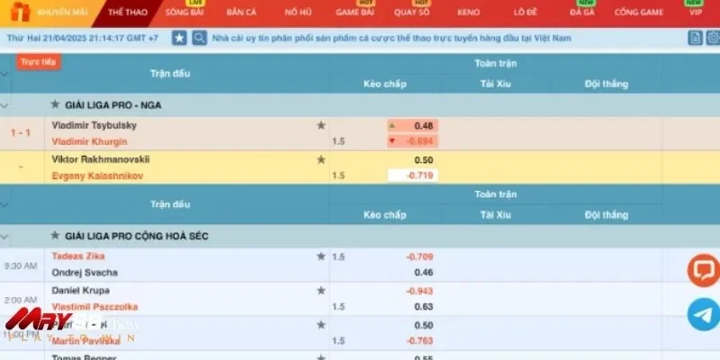 Thông tin quan trọng về trò chơi cá cược cầu lông