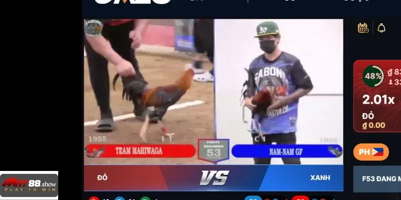 Mỗi cú ra đòn không chỉ là sức mạnh mà còn là sự tinh tế trong từng bước di chuyển