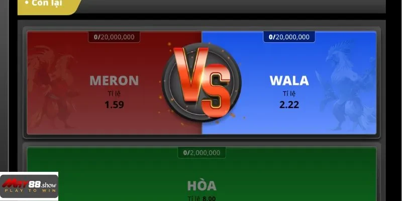 Tốc độ và sự chuẩn xác chính là linh hồn của đá gà cựa sắt tại May88