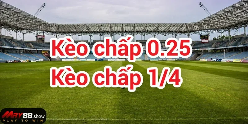 Kèo cược chấp 1/4 ở bóng đá May88 là gì