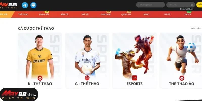 May88 là nhà cái thể thao chất lượng top đầu