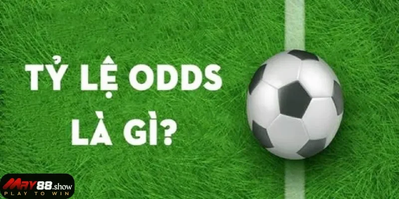tỷ lệ odds May88