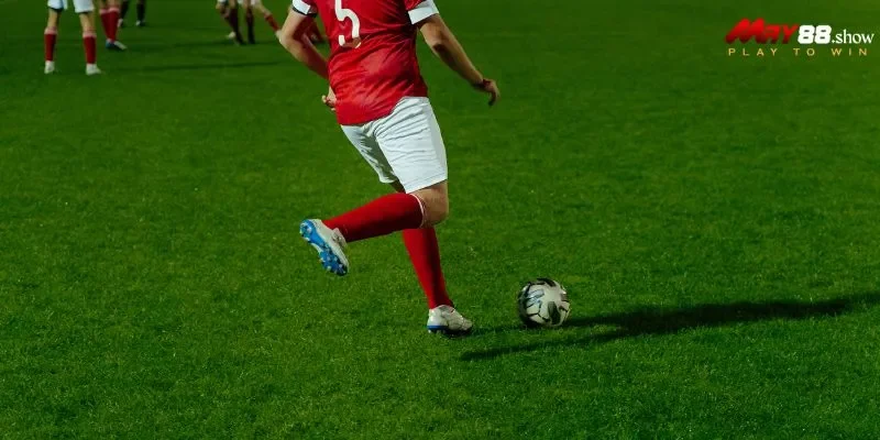 Các thông tin có trong bảng kèo