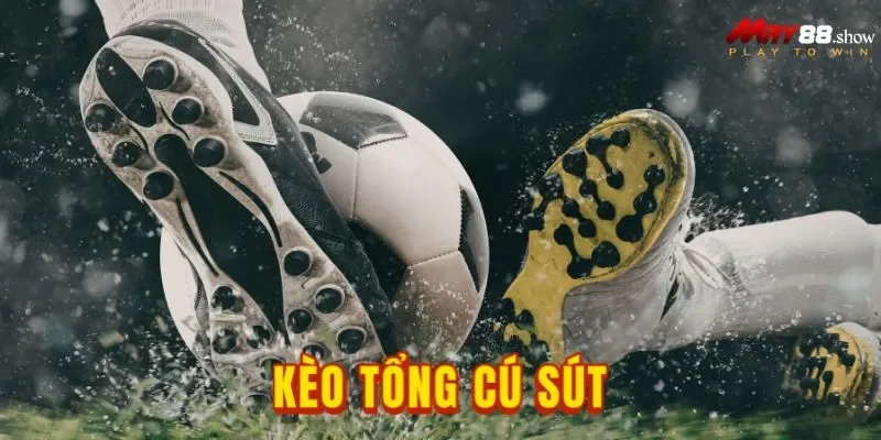 Bí Quyết Soi Kèo Tổng Cú Sút Tại May88 Cực Chuẩn Cho Tân Thủ