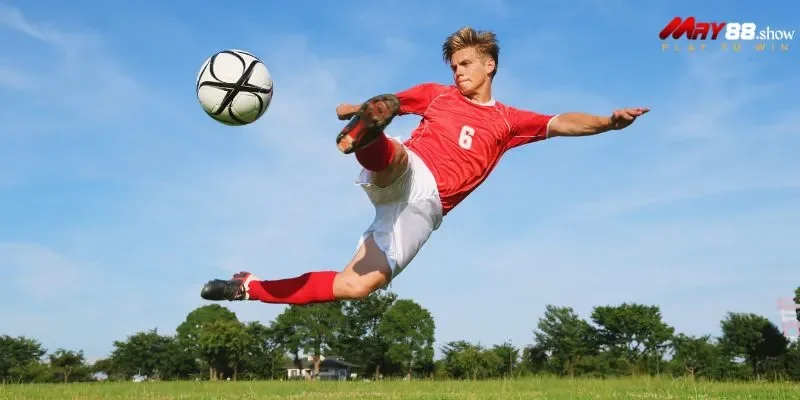 Một số kiểu cược được ưa chuộng tại May88