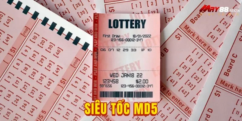 Đánh Giá Chi Tiết Sảnh Cược Siêu Tốc MD5 Tại Nhà Cái May88